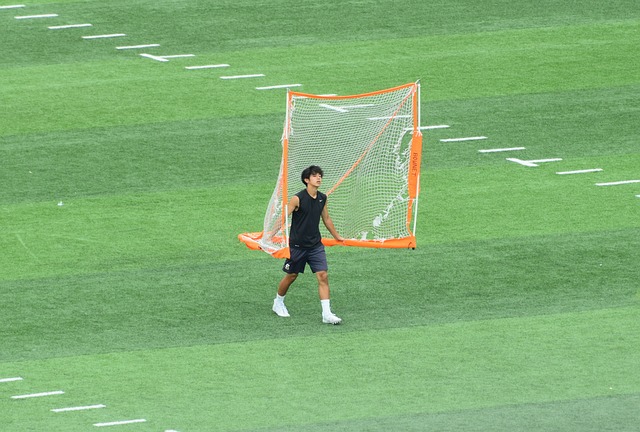 层次他的直