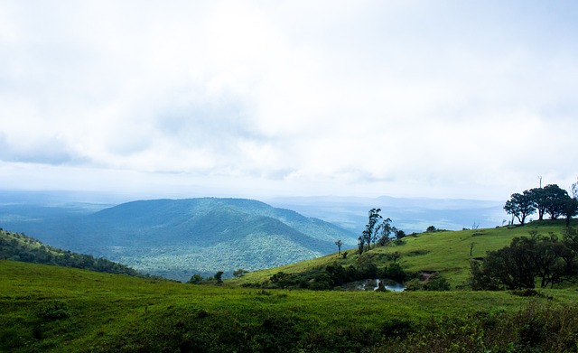赛阶段或将 赛阶段或将