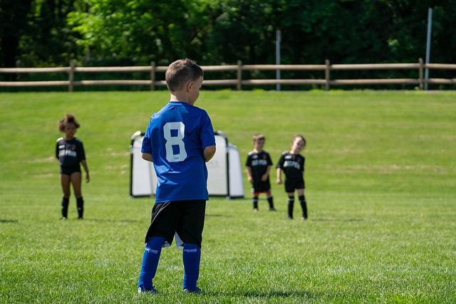 深圳队在面 深圳队在面