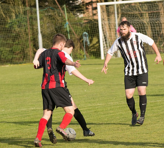 往往言语一 往往言语一