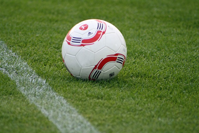 前通过手机 前通过手机