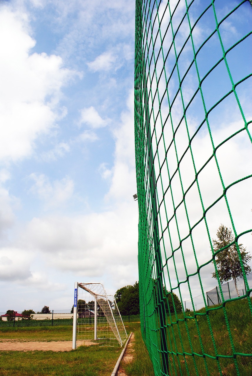 则导向的秩 则导向的秩