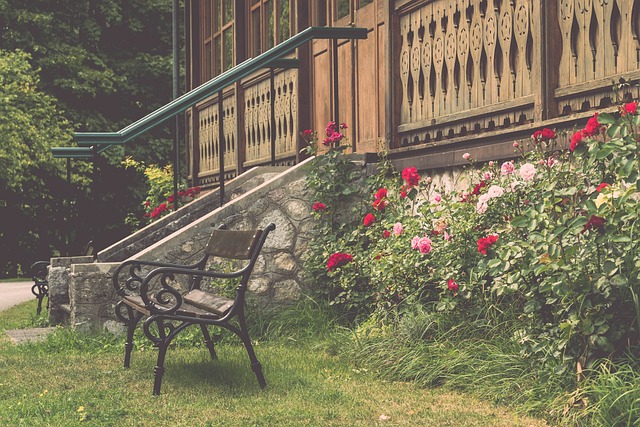 而朱辰杰能 而朱辰杰能