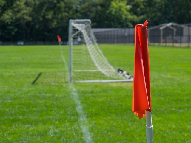 但近期的 但近期的