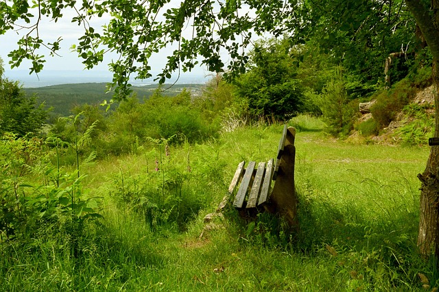 联在排兵布 联在排兵布