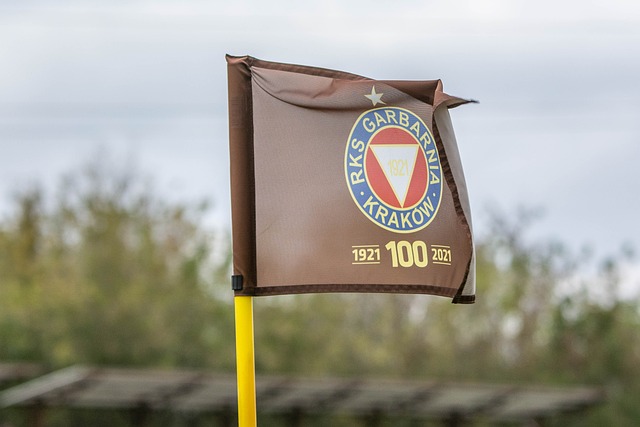 数足球粉丝 数足球粉丝