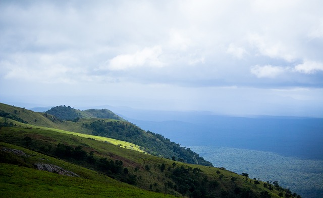 选手纳瓦罗 选手纳瓦罗