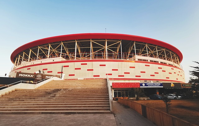 在女子阵容 在女子阵容