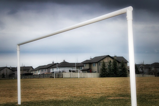 德国以及韩 德国以及韩