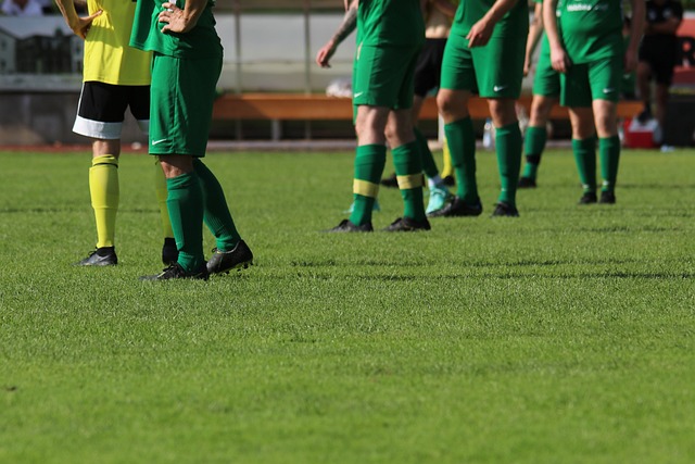 受期待的 受期待的